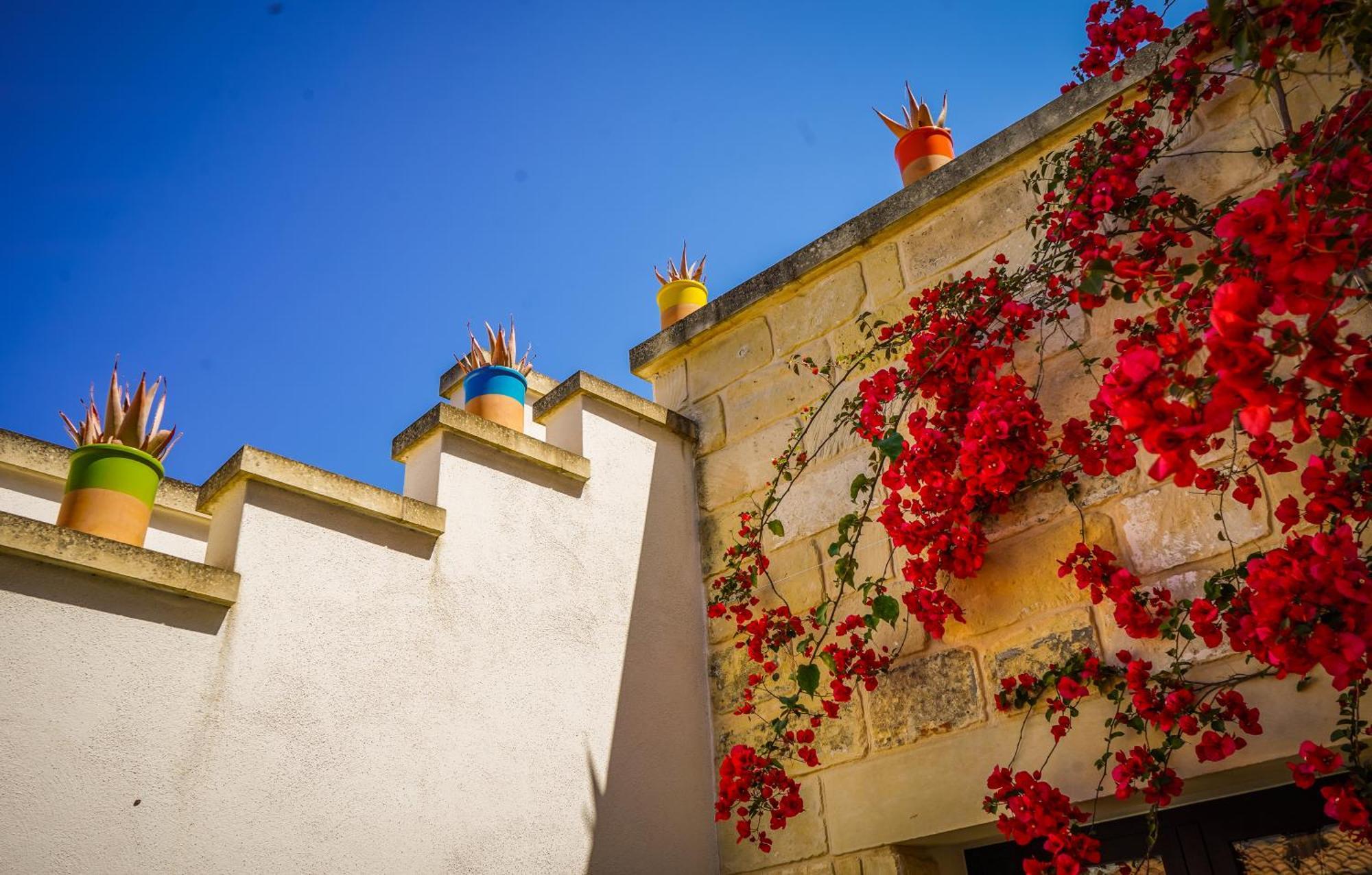 La Muzza Bed & Breakfast Zollino ภายนอก รูปภาพ